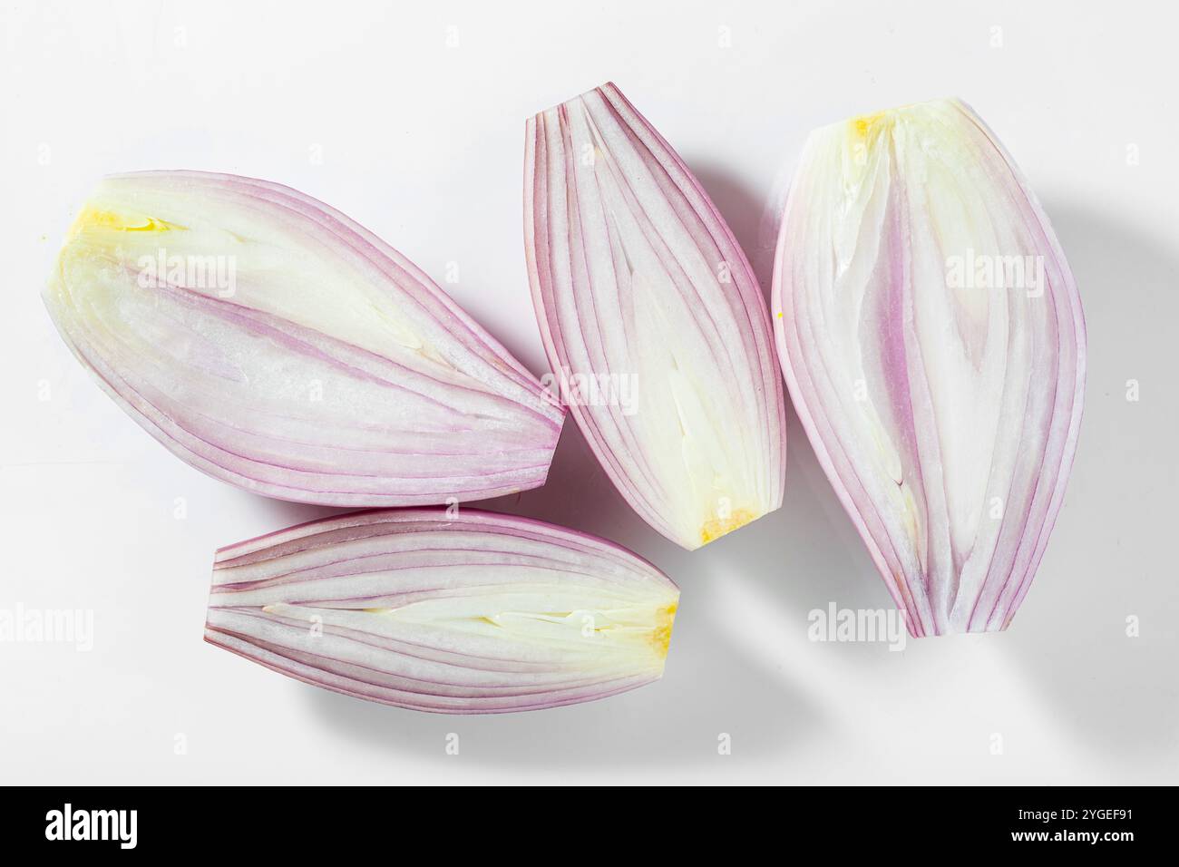 sliced ​​shallots on a white background Stock Photo