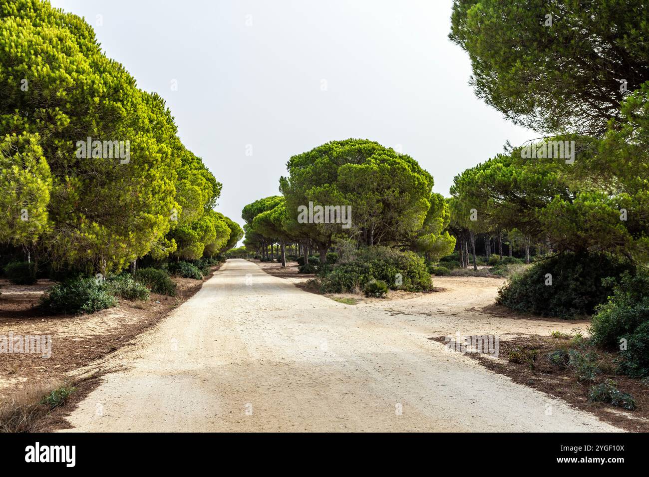 Rio roche hi-res stock photography and images - Alamy