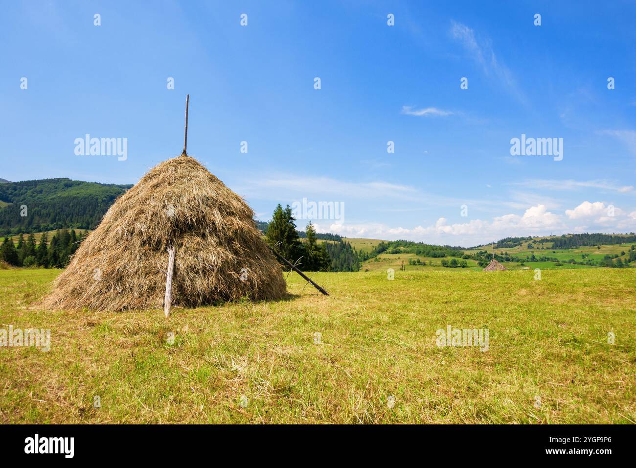 mountainous rural landscape with haystacks in summer. beautiful scenery. sunny day. green field in carpathian countryside of ukraine. rustic environme Stock Photo