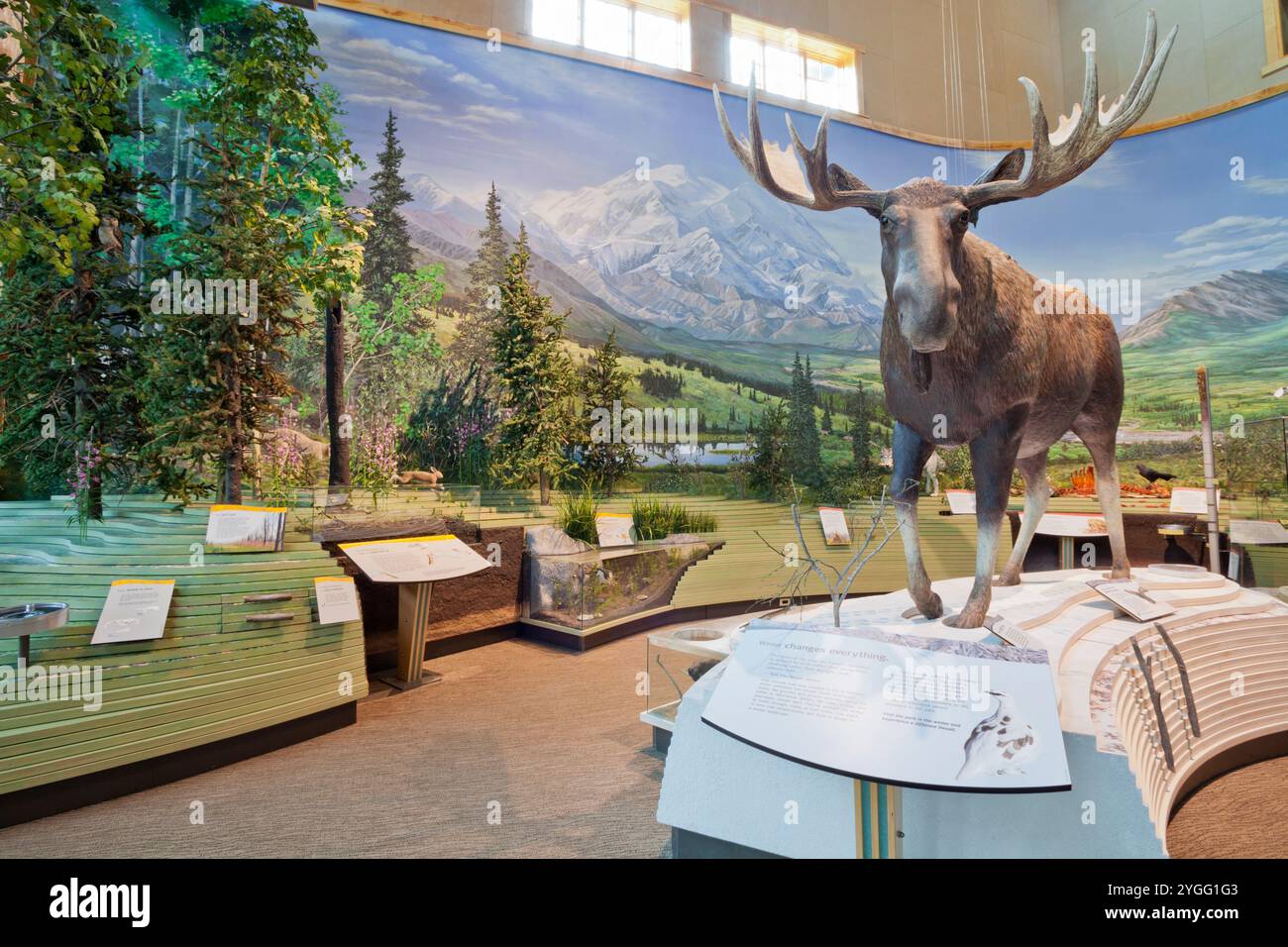 Visitor Center at Denali National Park and Preserve, Alaska, U.S.A