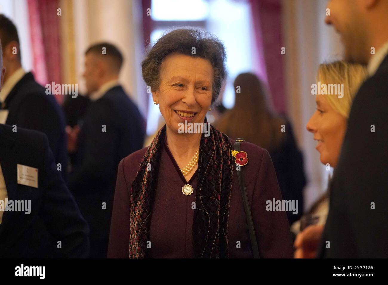 Princess royal talking guests hi-res stock photography and images - Alamy