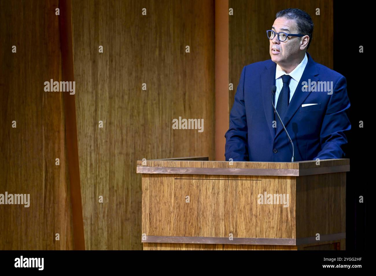 Brussels, Belgium. 07th Nov, 2024. Brazil's Ambassador to Belgium João Mendes Pereira pictured during a press briefing on the Belgian economic mission to Brazil, in Brussels, Thursday 07 November 2024. BELGA PHOTO DIRK WAEM Credit: Belga News Agency/Alamy Live News Stock Photo