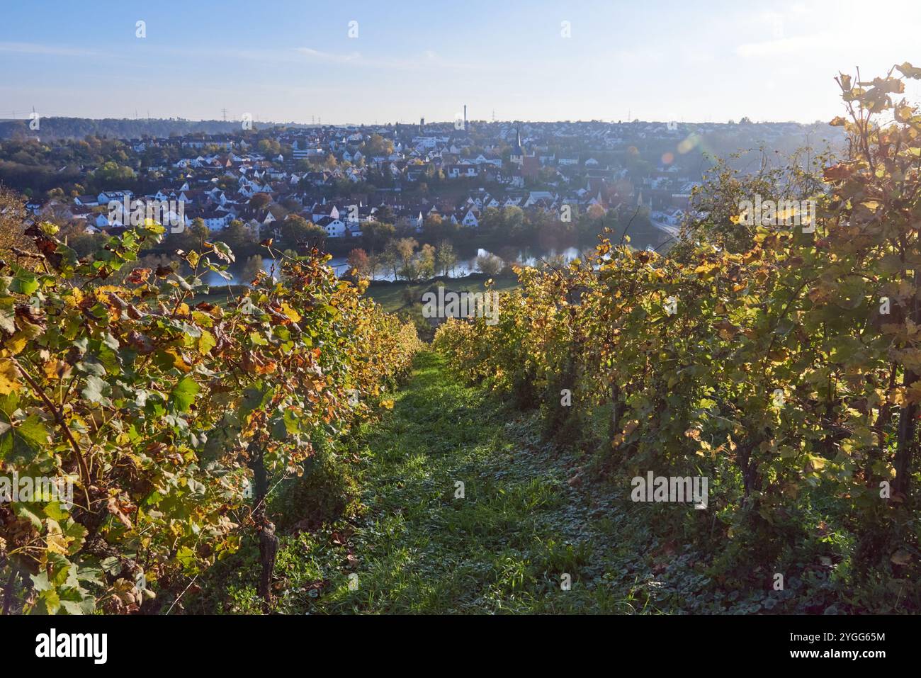 Scenic Autumn View of Benningen, Germany A Hilltop Perspective ...