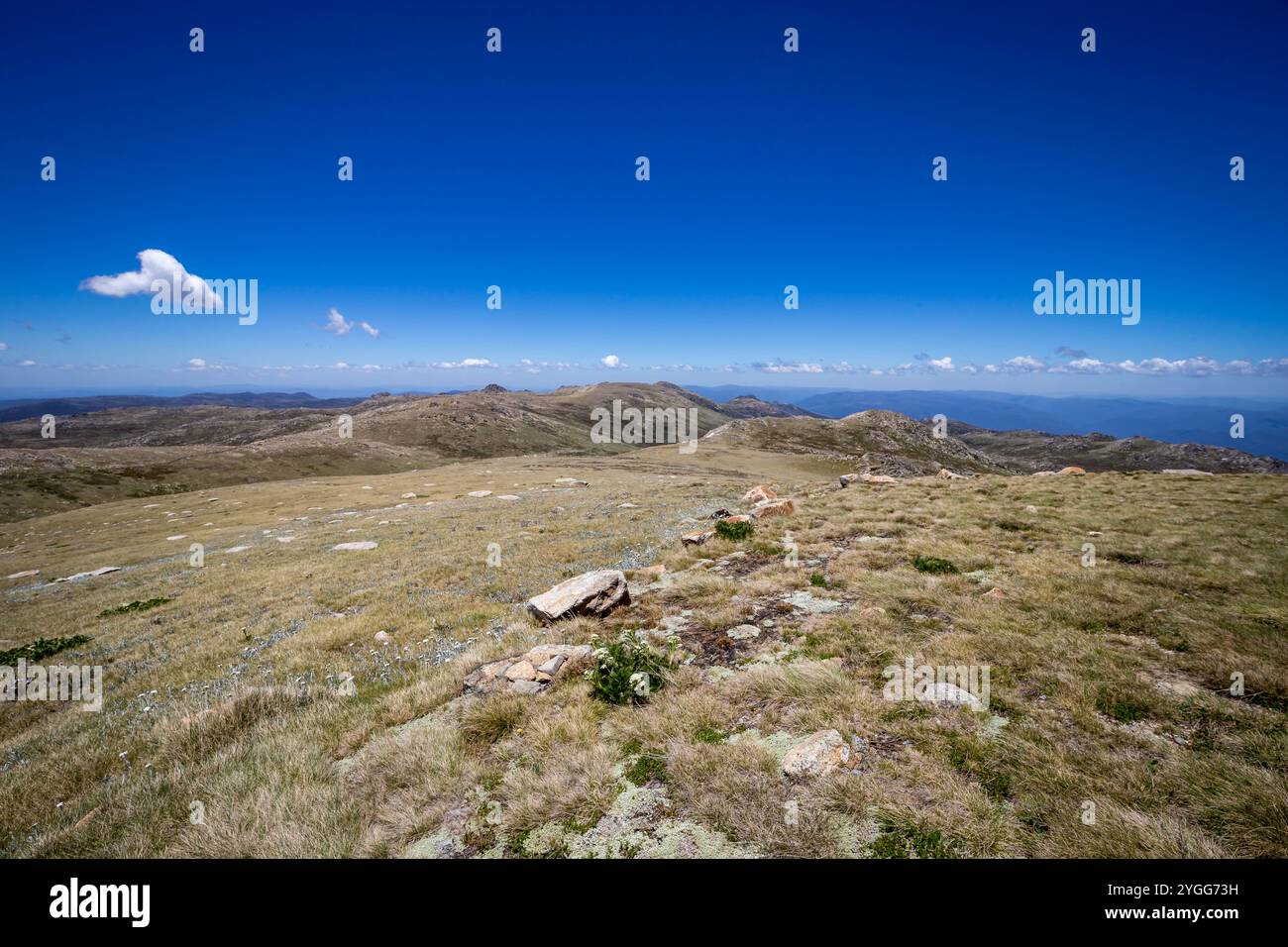 Exploring the breathtaking landscapes along the Main Range Walk at ...