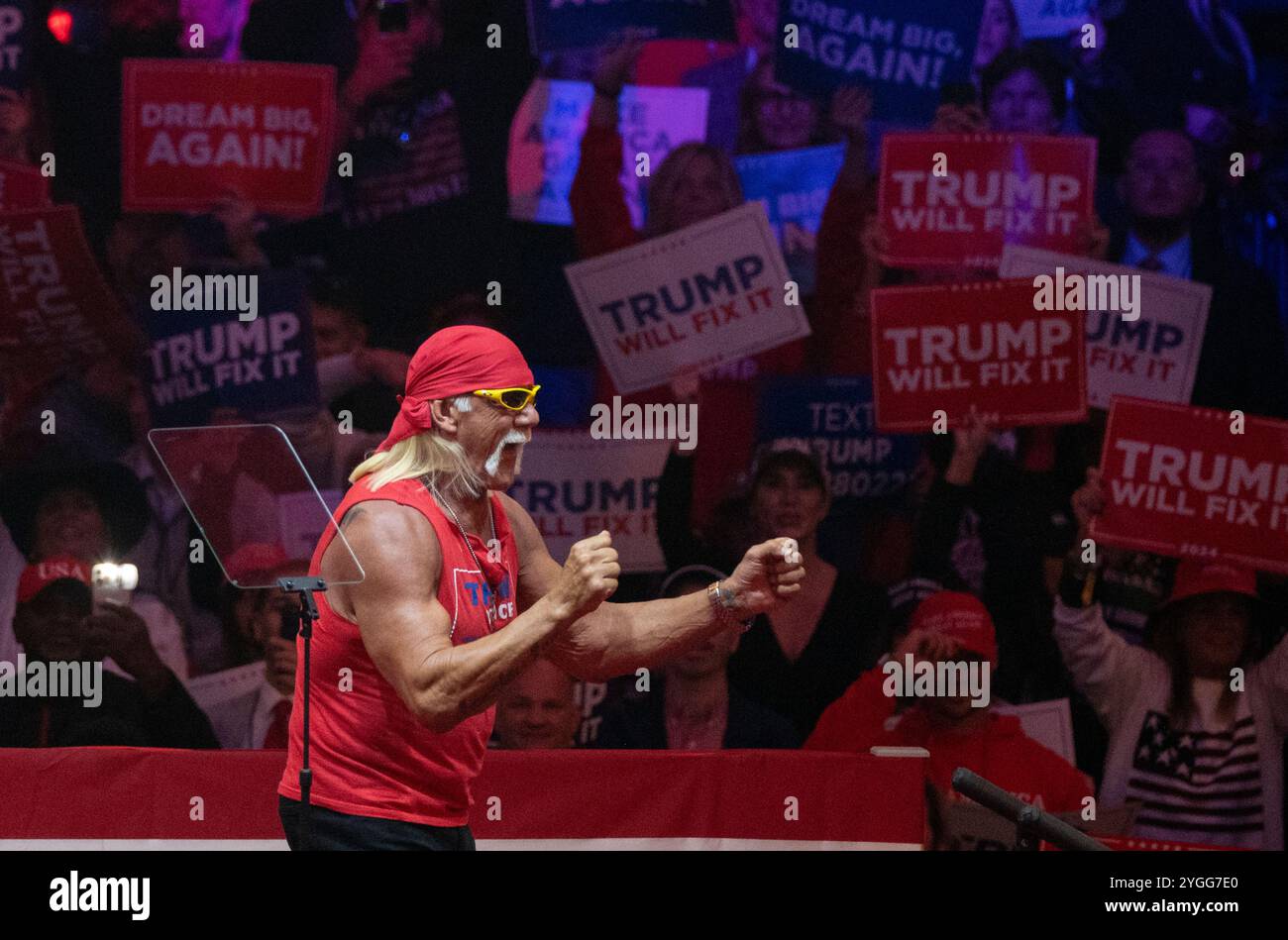 Hogan hulk hi-res stock photography and images - Alamy