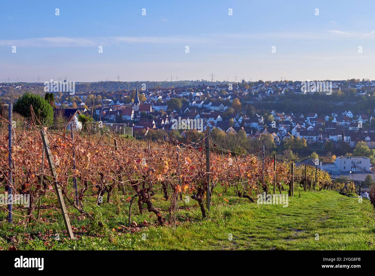 Scenic Autumn View of Benningen, Germany A Hilltop Perspective ...