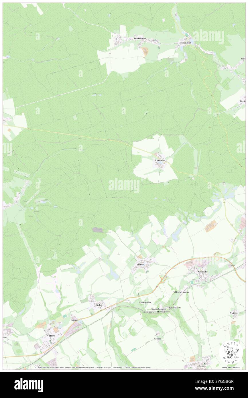 Wildhaus, DE, Germany, Thuringia, N 50 45' 0'', N 11 40' 59'', map, Cartascapes Map published in 2024. Explore Cartascapes, a map revealing Earth's diverse landscapes, cultures, and ecosystems. Journey through time and space, discovering the interconnectedness of our planet's past, present, and future. Stock Photo