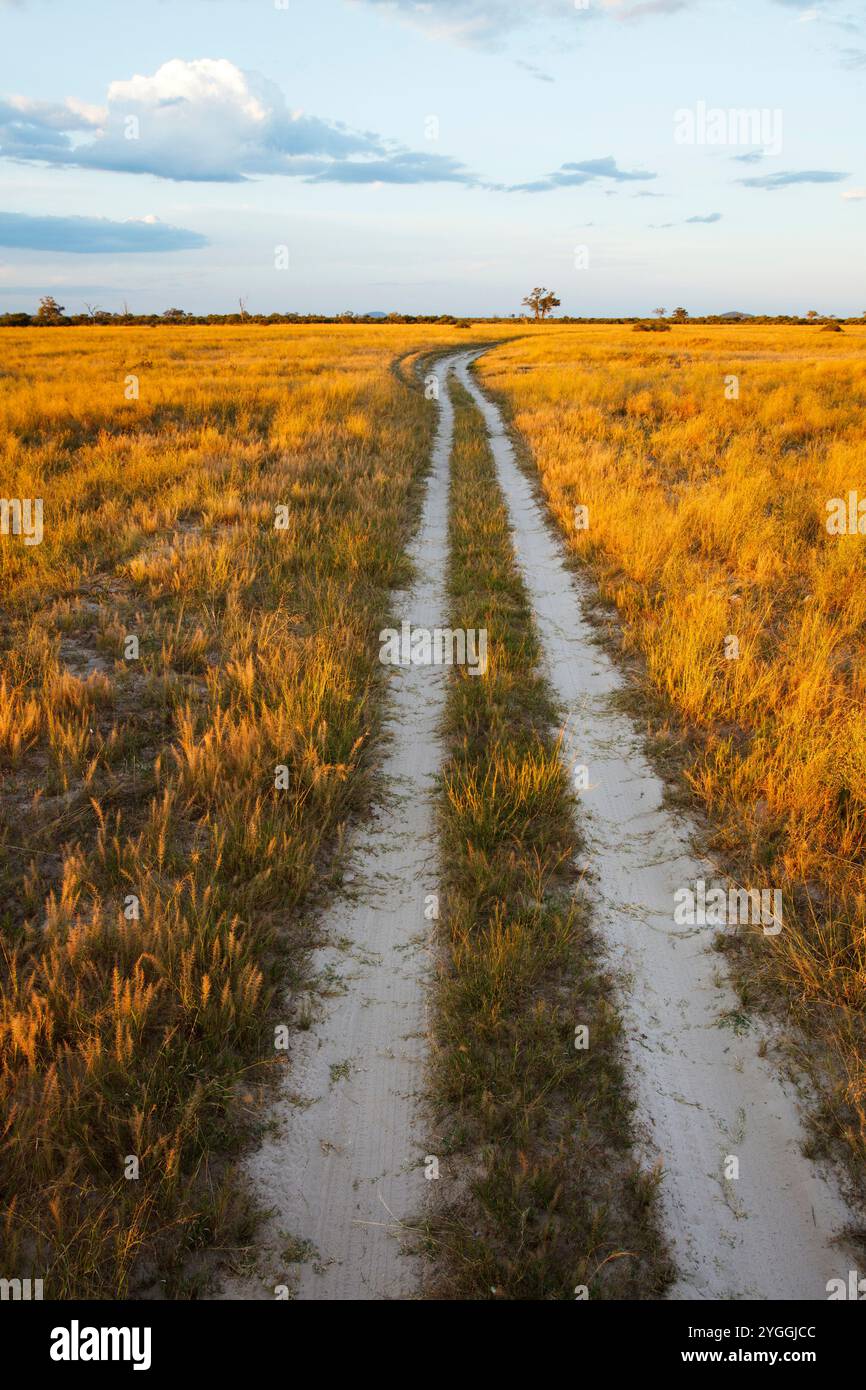 Gravel Road Botswana Stock Photo Alamy