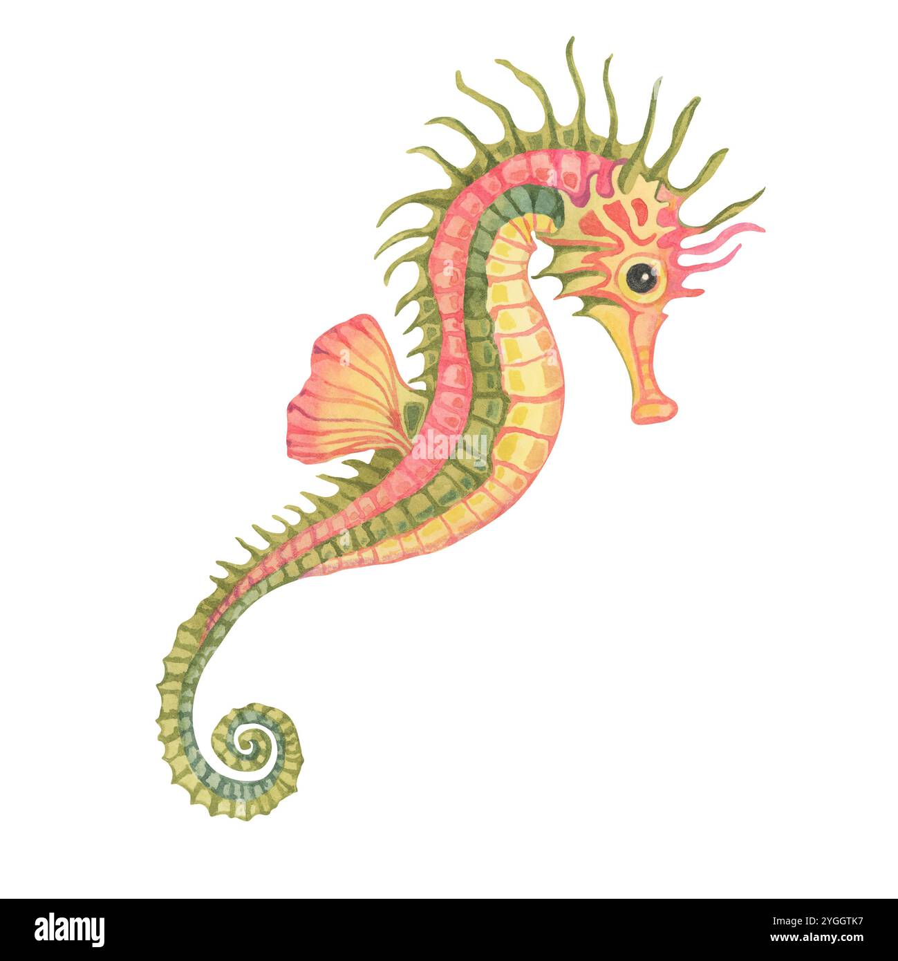 Green, yellow and pink seahorse with intricate details. Marine creature watercolor clipart. Whimsical illustration for children's room decor, nautical posters, or beach-themed event invitations Stock Photo