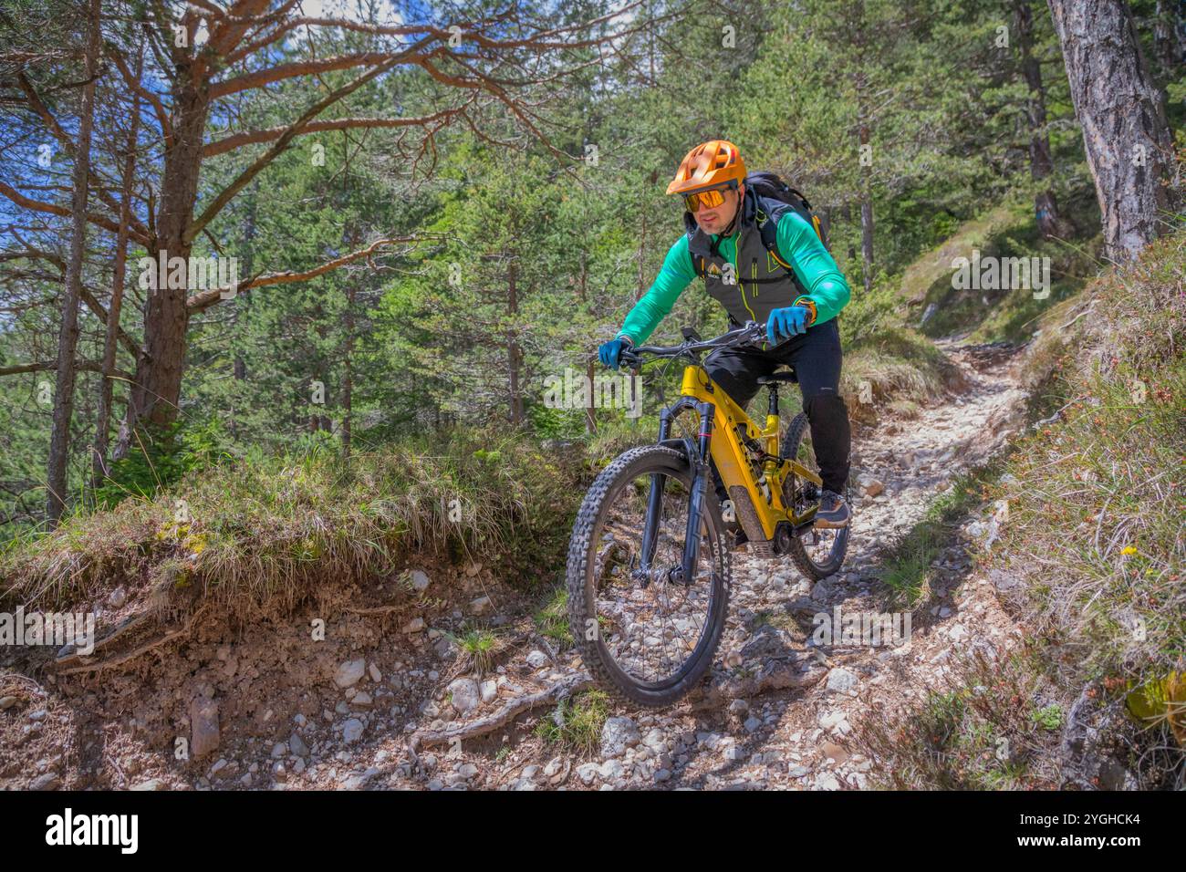 Italy, Trentino, province of Trento, Val di Fassa, a cyclist engaging in a descent on a very technical single trail Stock Photo