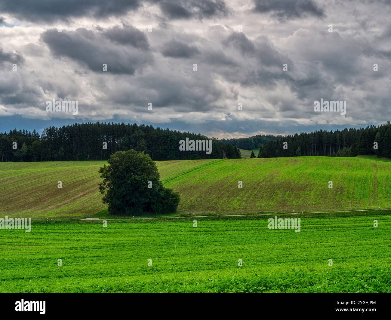 Cultivated field hilly landscape hi-res stock photography and images ...