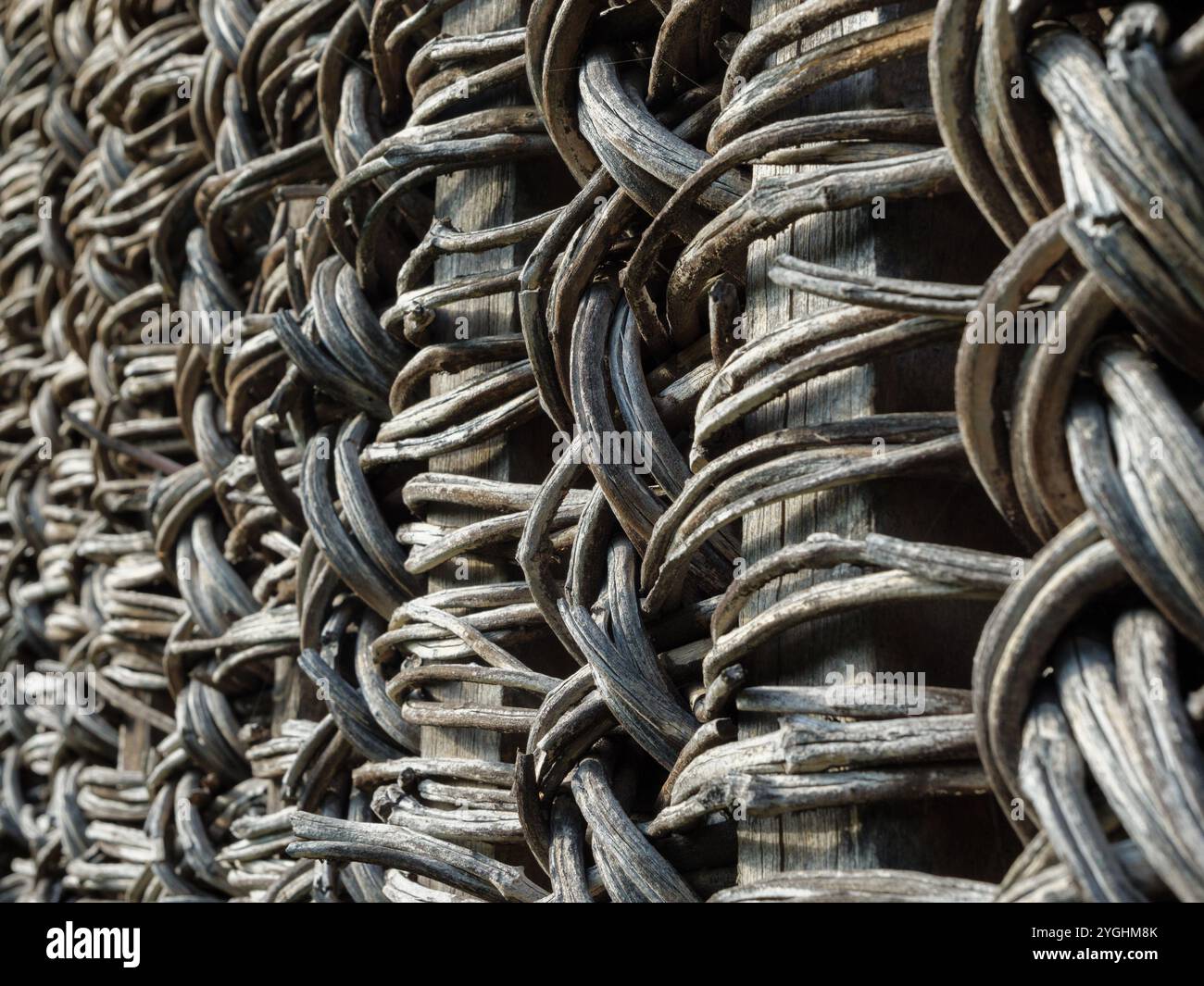 A close view of an old rustic fence made from intertwined natural materials. The rustic fence showcases woven branches, highlighting natural craftsmanship and age. Stock Photo