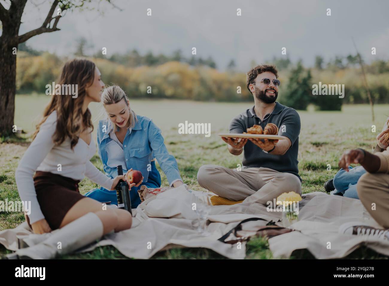 Group of friends having a picnic in a picturesque park together Stock ...