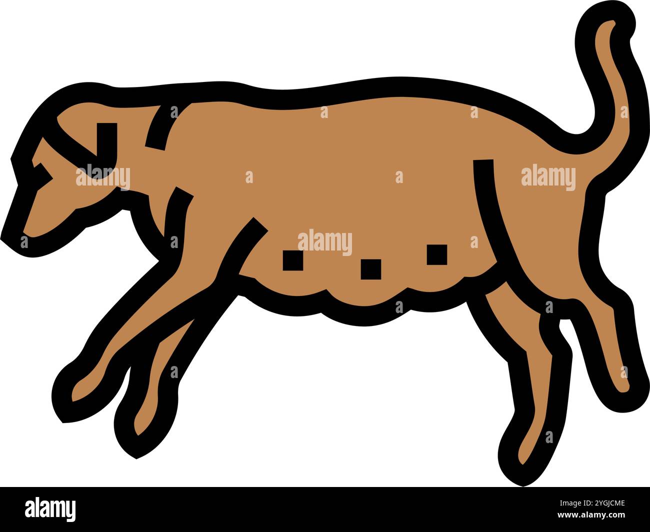 pregnant dog color icon vector illustration Stock Vector Image & Art ... - Pregnant Dog Exercise Needs