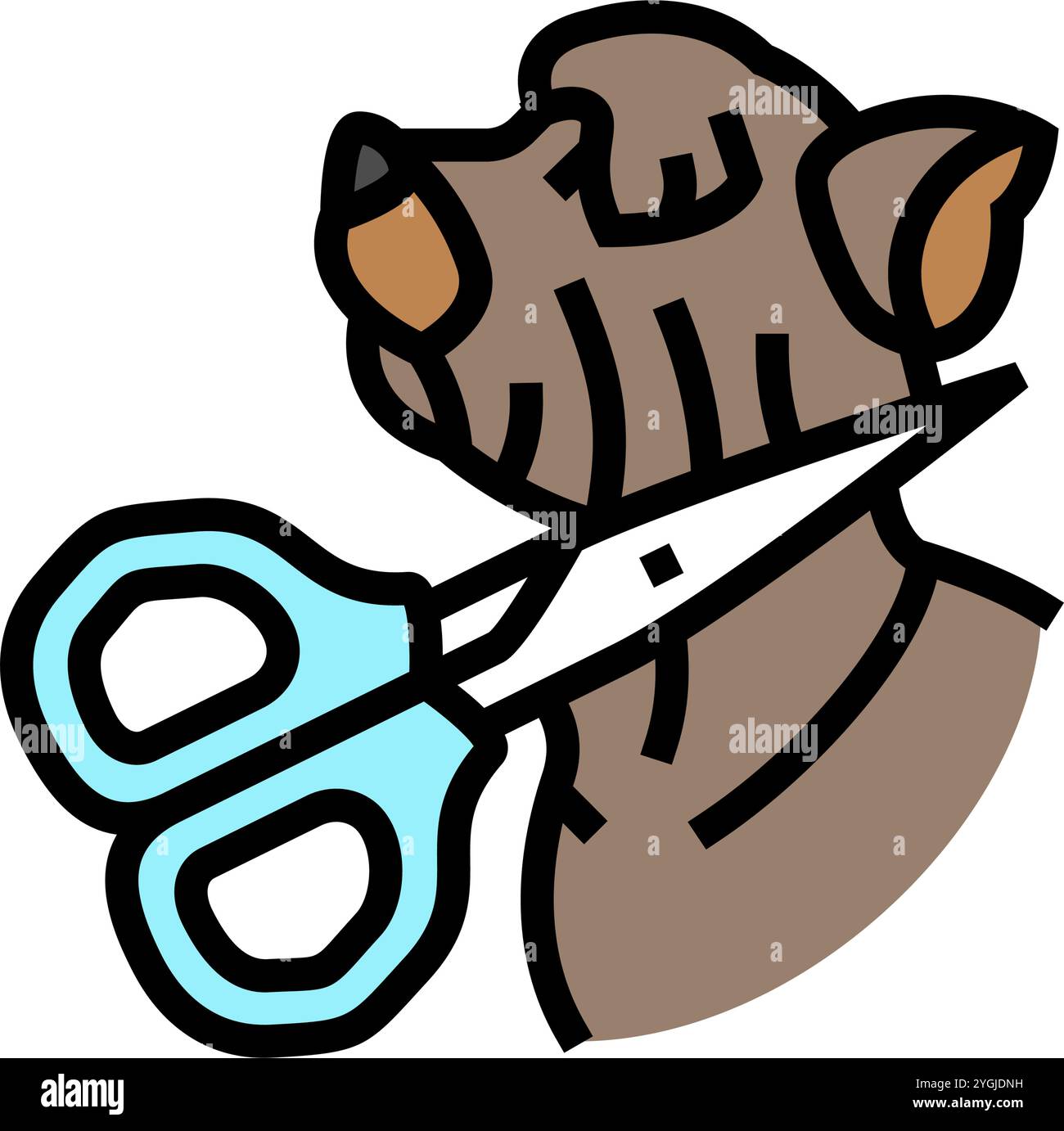 Dog Grooming Standards