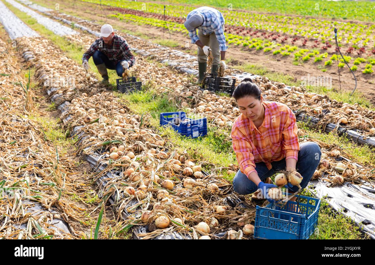 Multiethnic team farm workers hi-res stock photography and images - Alamy