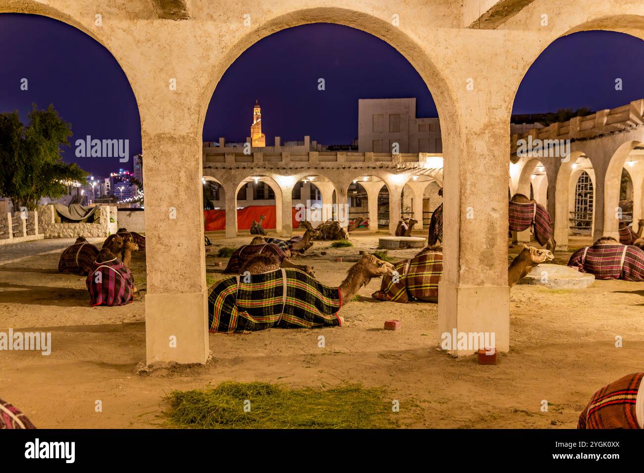 House of the old camel hi-res stock photography and images - Alamy