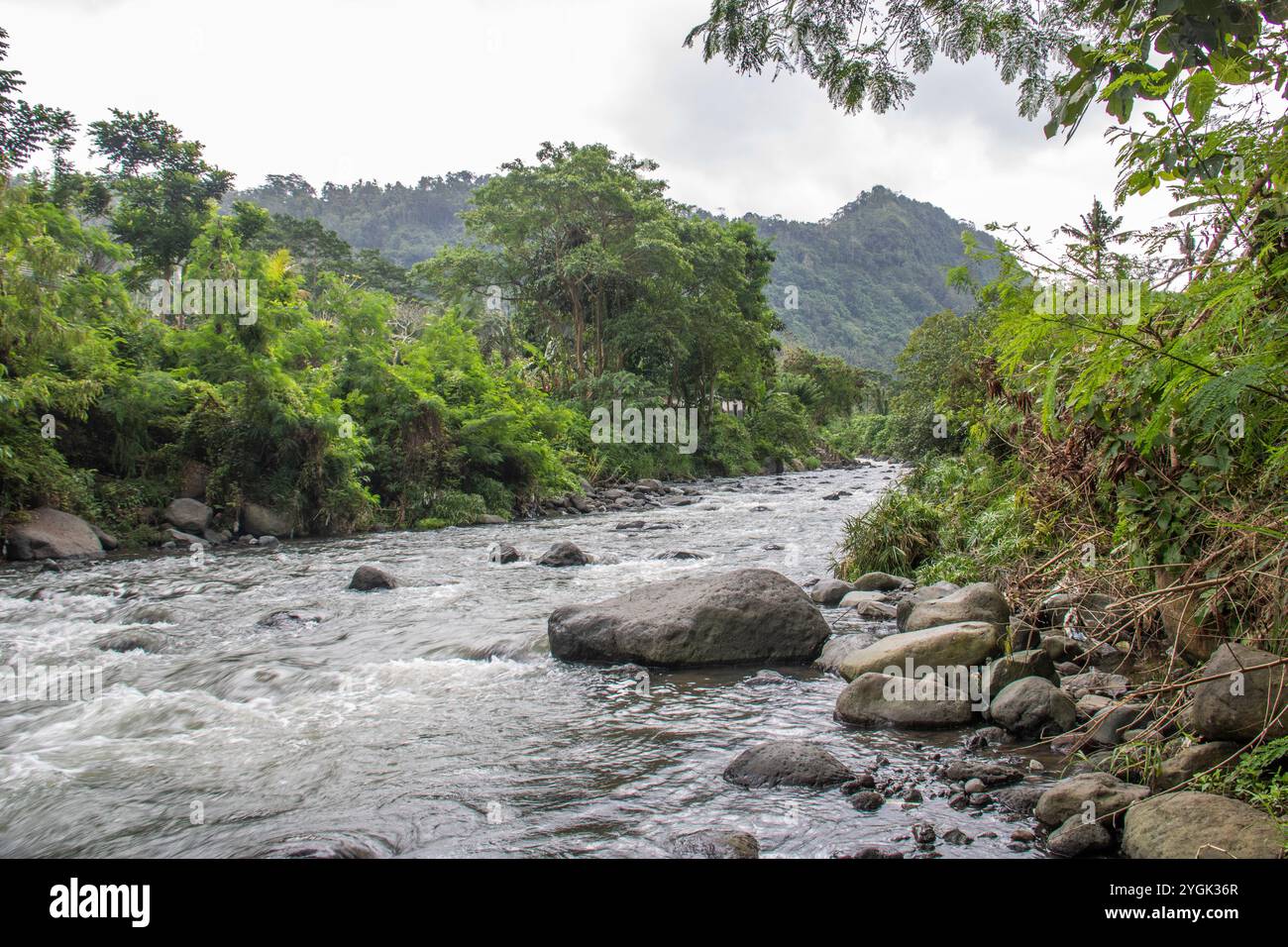 Island diversity hi-res stock photography and images - Alamy