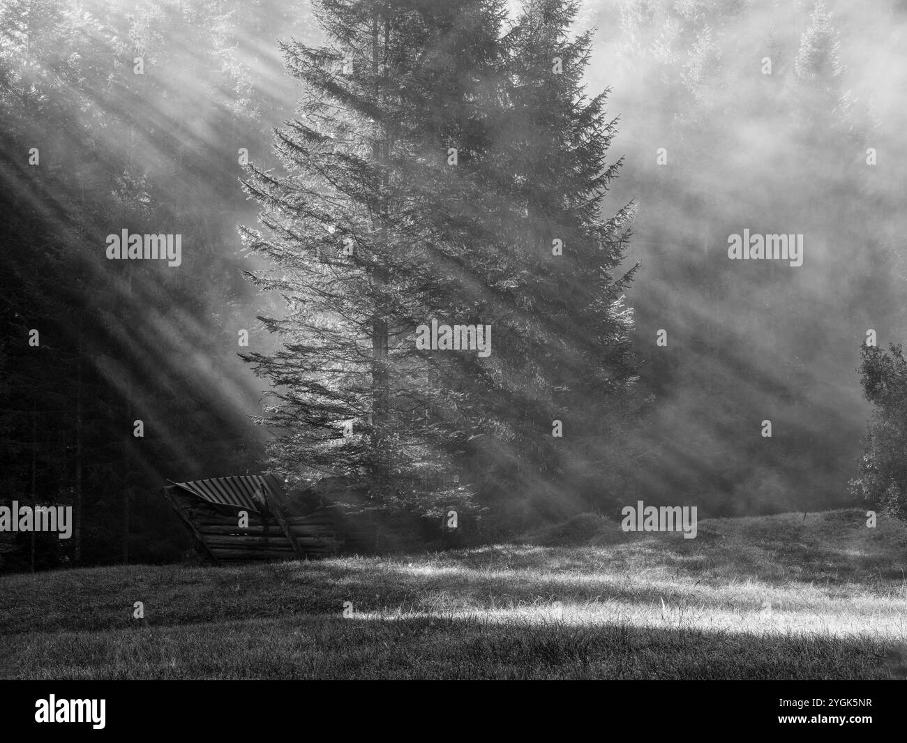 Late summer at lake geroldsee stock photo alamy