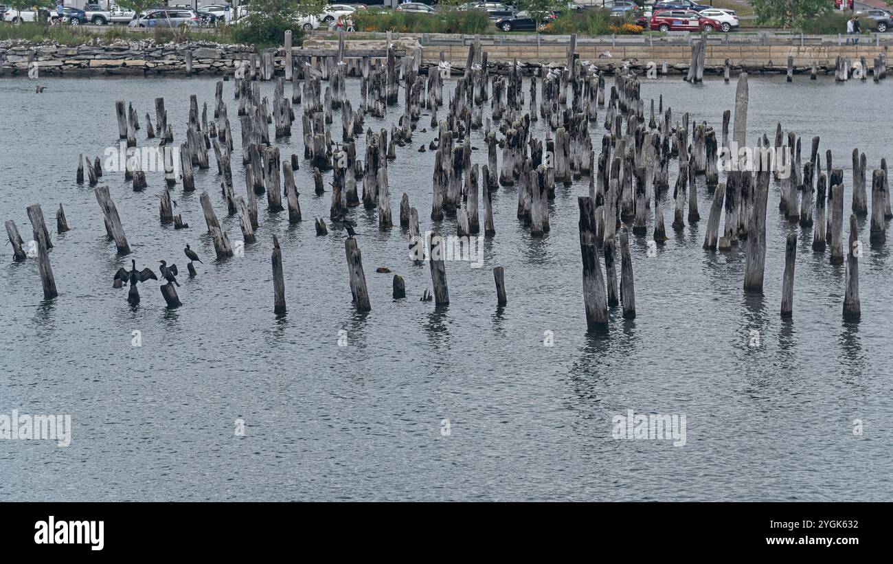 Port part water area. Portland, Maine,  USA Stock Photo