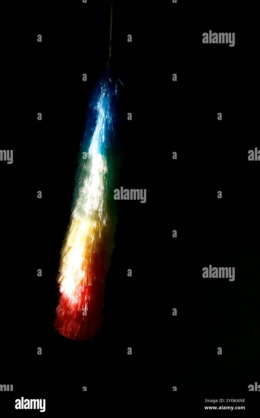 rainbow-colored feather duster on black background Stock Photo