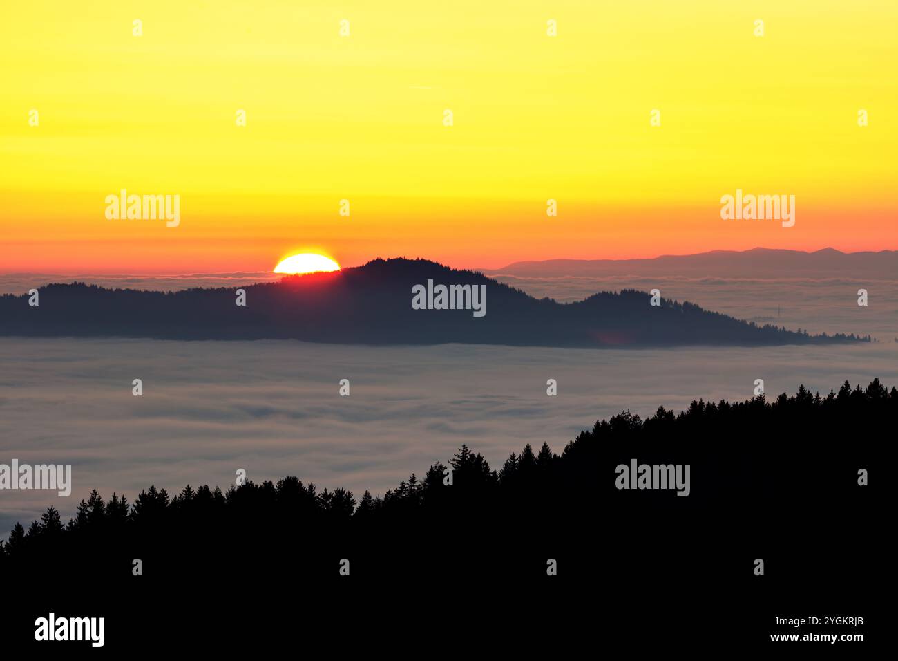 Nebel im Tal, Inversionswetterlage, Schwarzwald, Baden-Württemberg, Deutschland Stock Photo
