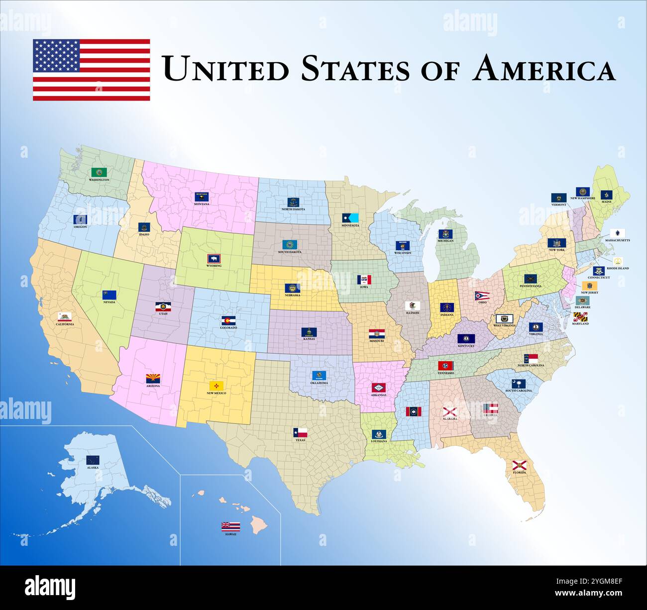 USA United States of America - Usa United States Of America Territorial Division By States And Counties With Federal State Flags Vector Illustration 2YGM8EF