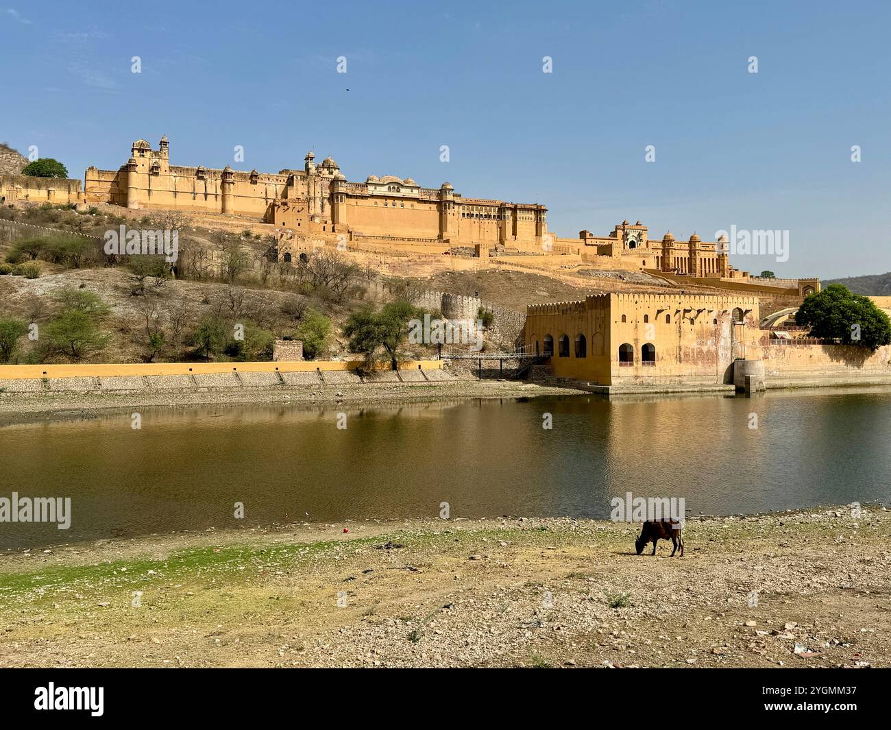 Peaceful and serene landscape located next to Amber fort,  Jaipur , India - Smartphone Captured Stock Image