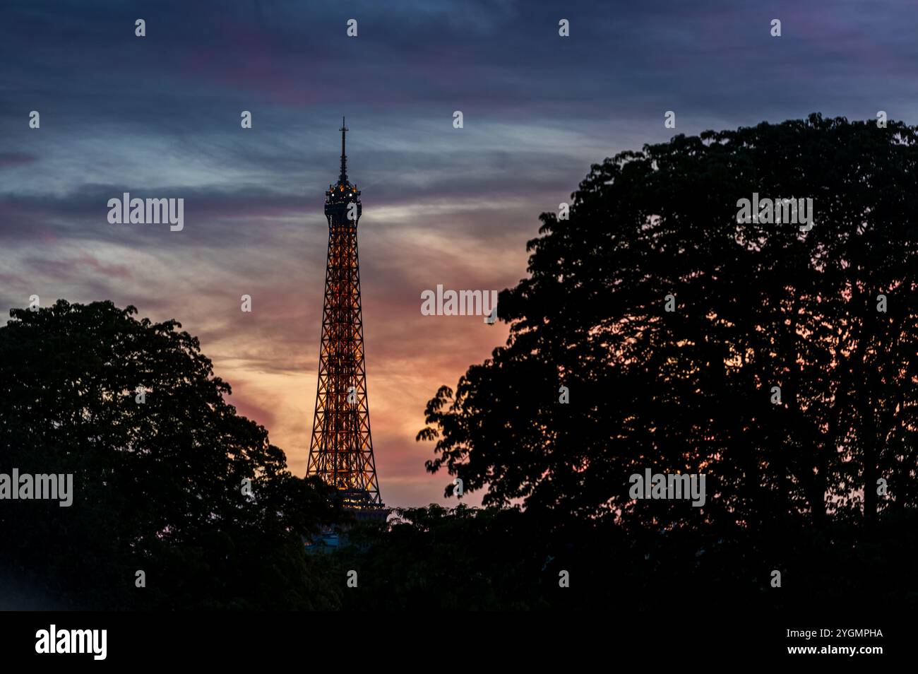The Eiffel Tower in the sunset, behind some trees Stock Photo