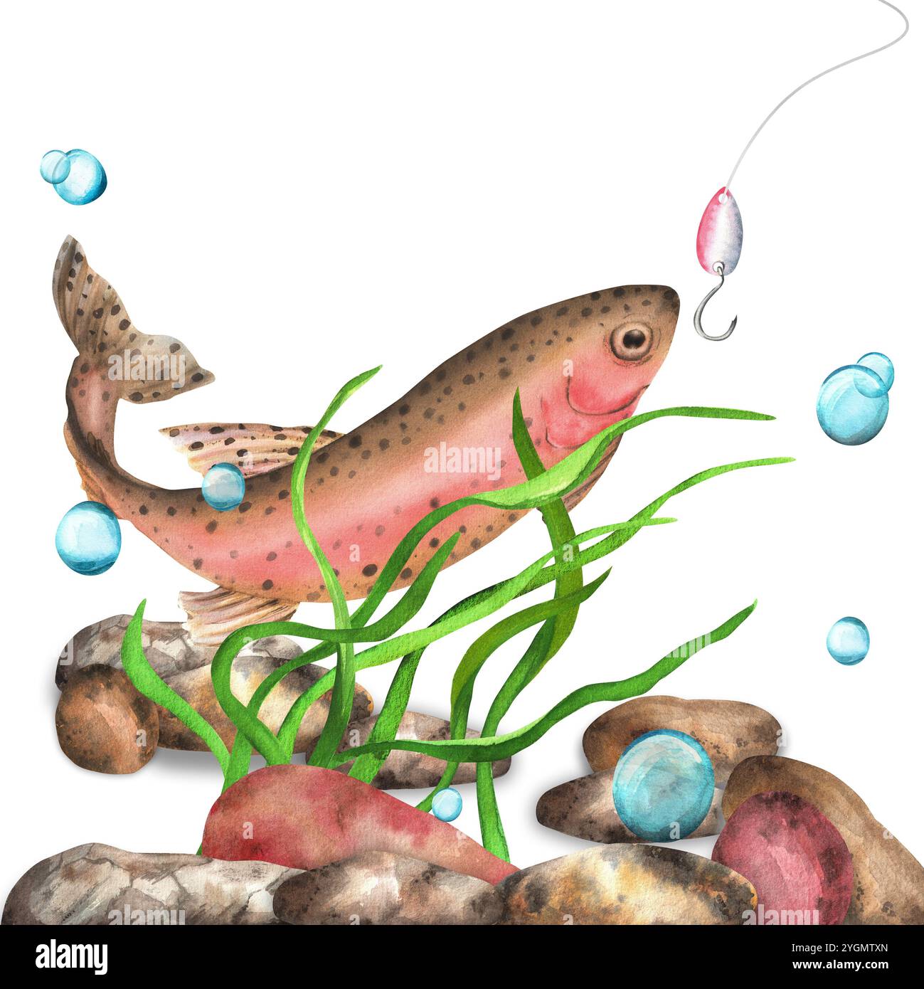 Rainbow trout swimming illustration hi-res stock photography and images -  Alamy