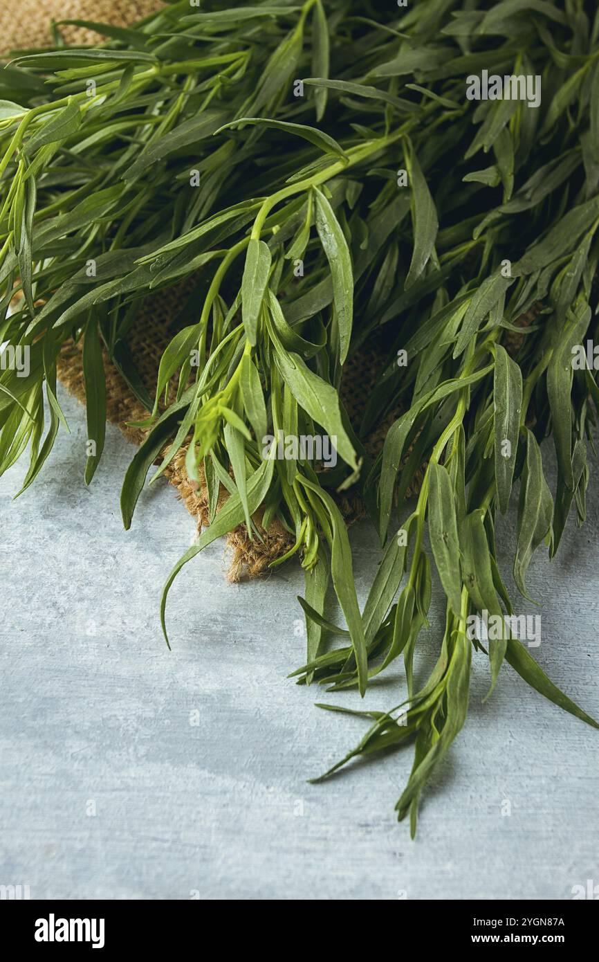 Fresh Tarragon, bunch, top view, close-up, no people Stock Photo