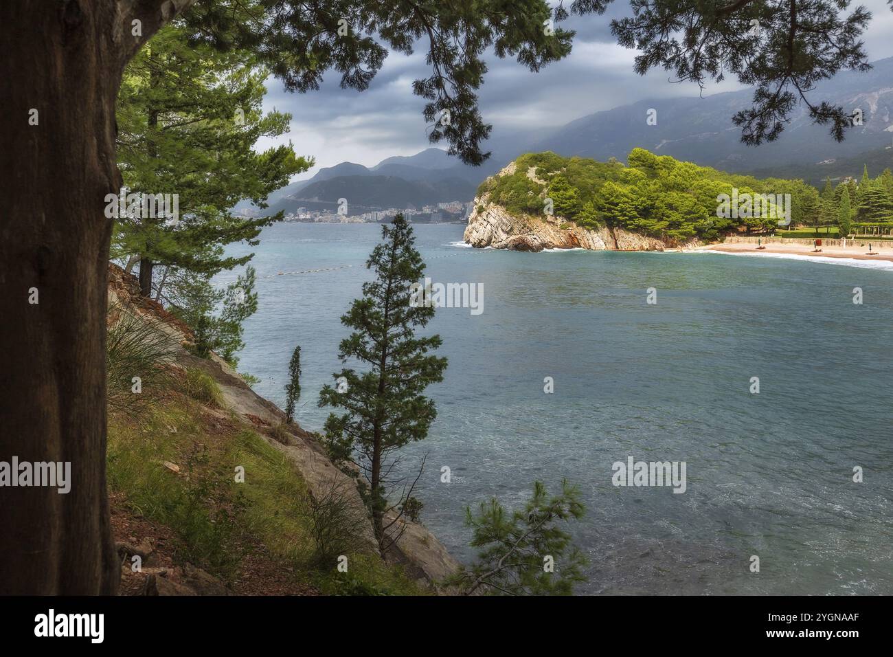 Pine trees on the rock and sea panorama, Budva riviera, Montenegro ...