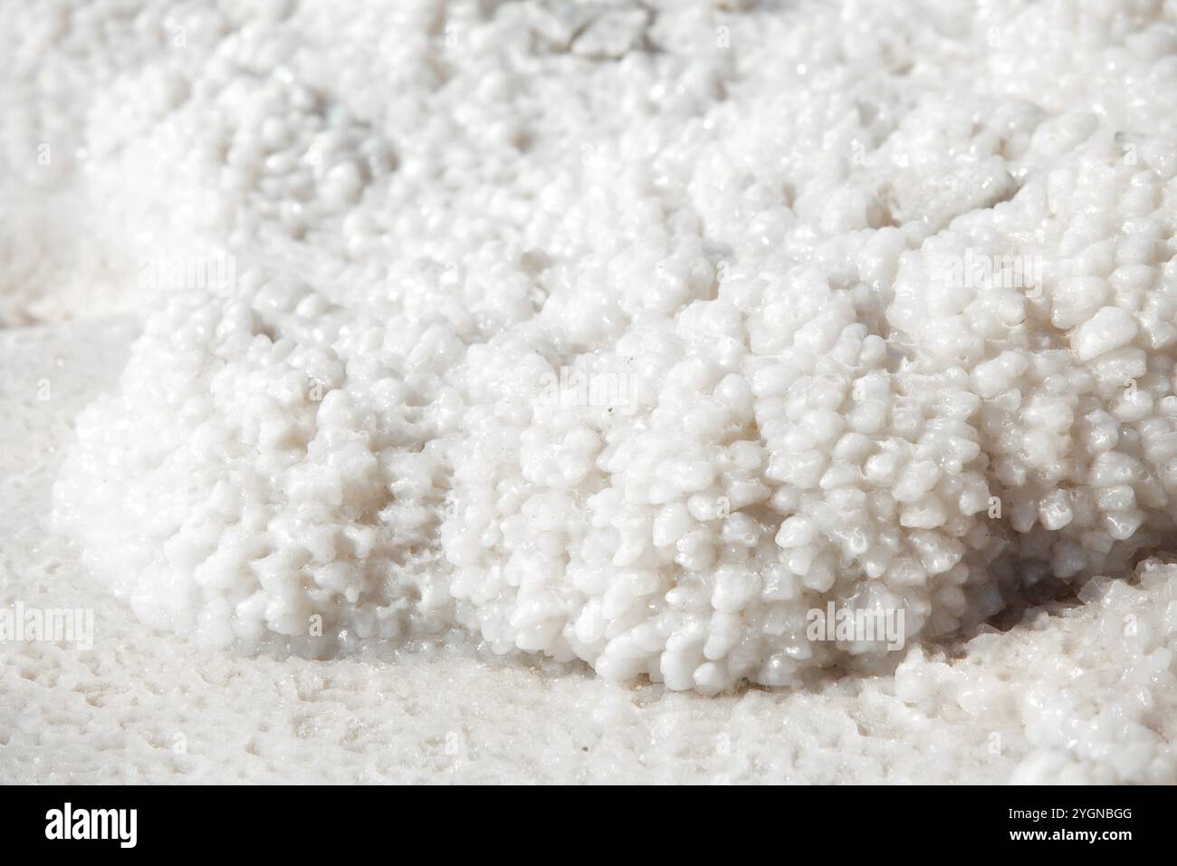 Close view salt crystals dead hi-res stock photography and images - Alamy