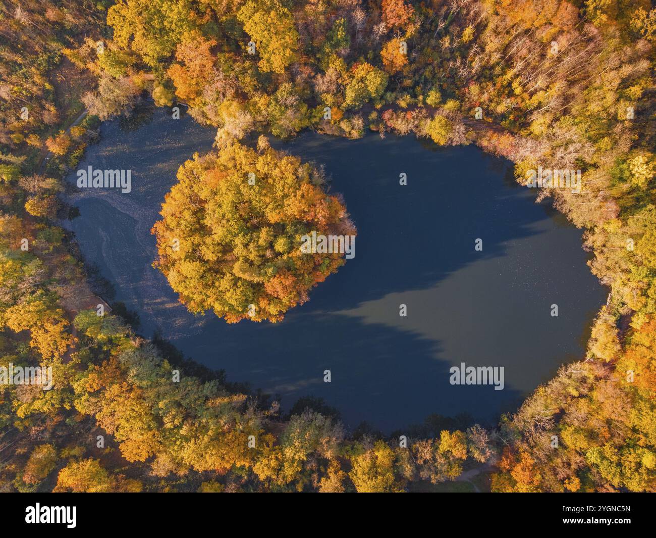 The leaves on the trees around the Gaenseweiher pond near Maintal-Bischofsheim, close to Frankfurt am Main, have turned a colourful autumnal hue. Some Stock Photo