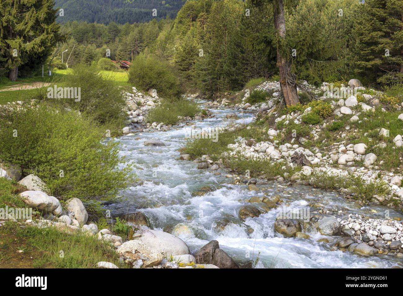 Woods Rive Spring Shot river spring in woods hi-res stock photography and images - Alamy