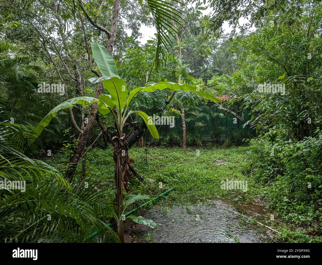 Cozumel - Smartphone Captured Stock Image