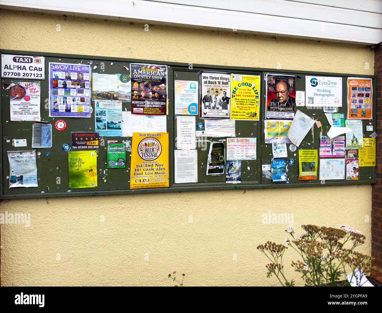 Now also know as Bee Town. The town of Monmouth in South Wales has become a haven for insect wildlife with roadside verges being left uncut - Smartphone Captured Stock Image
