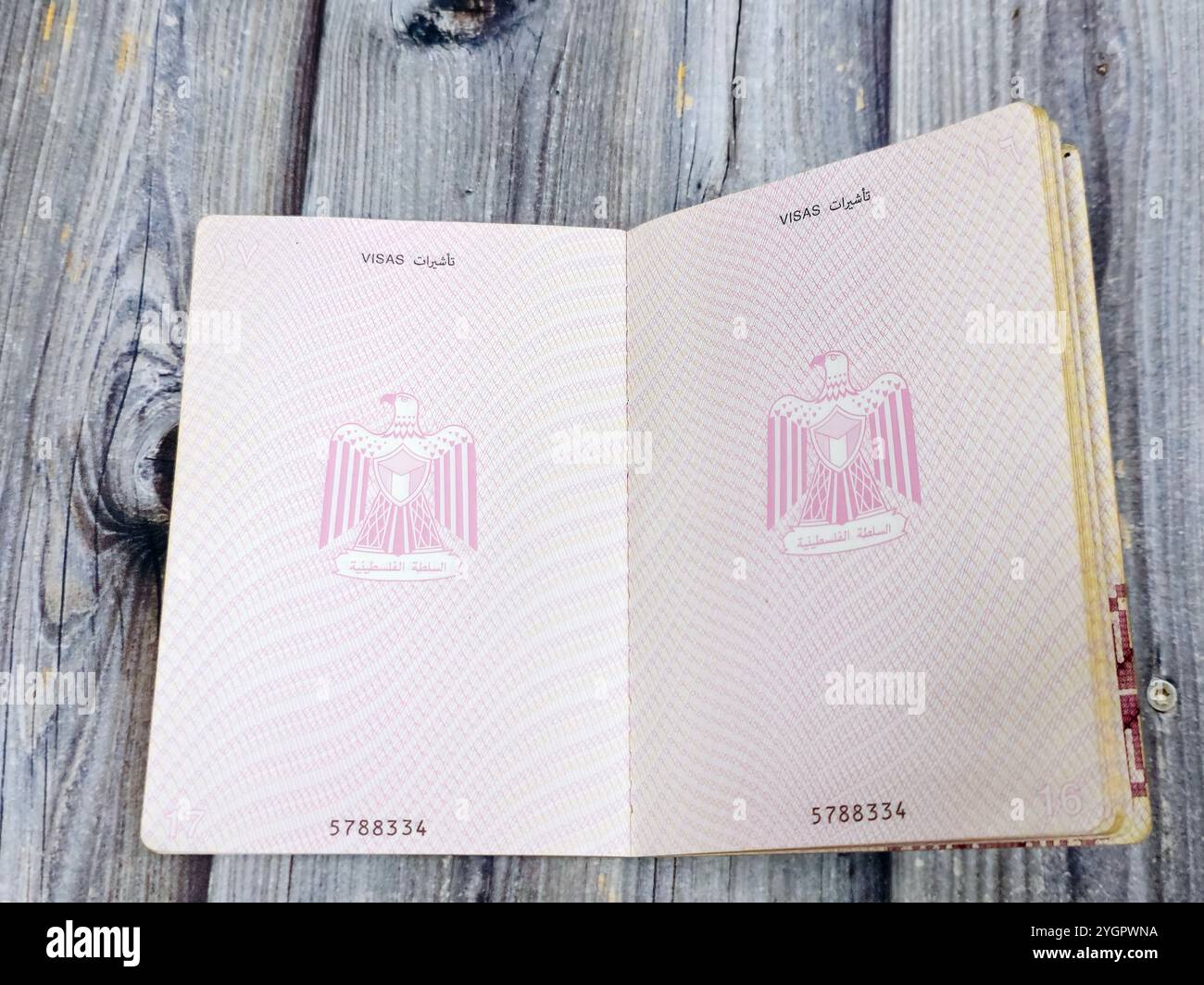 Authority Passport _ What Is Passport Place of Issue? – JLEMV