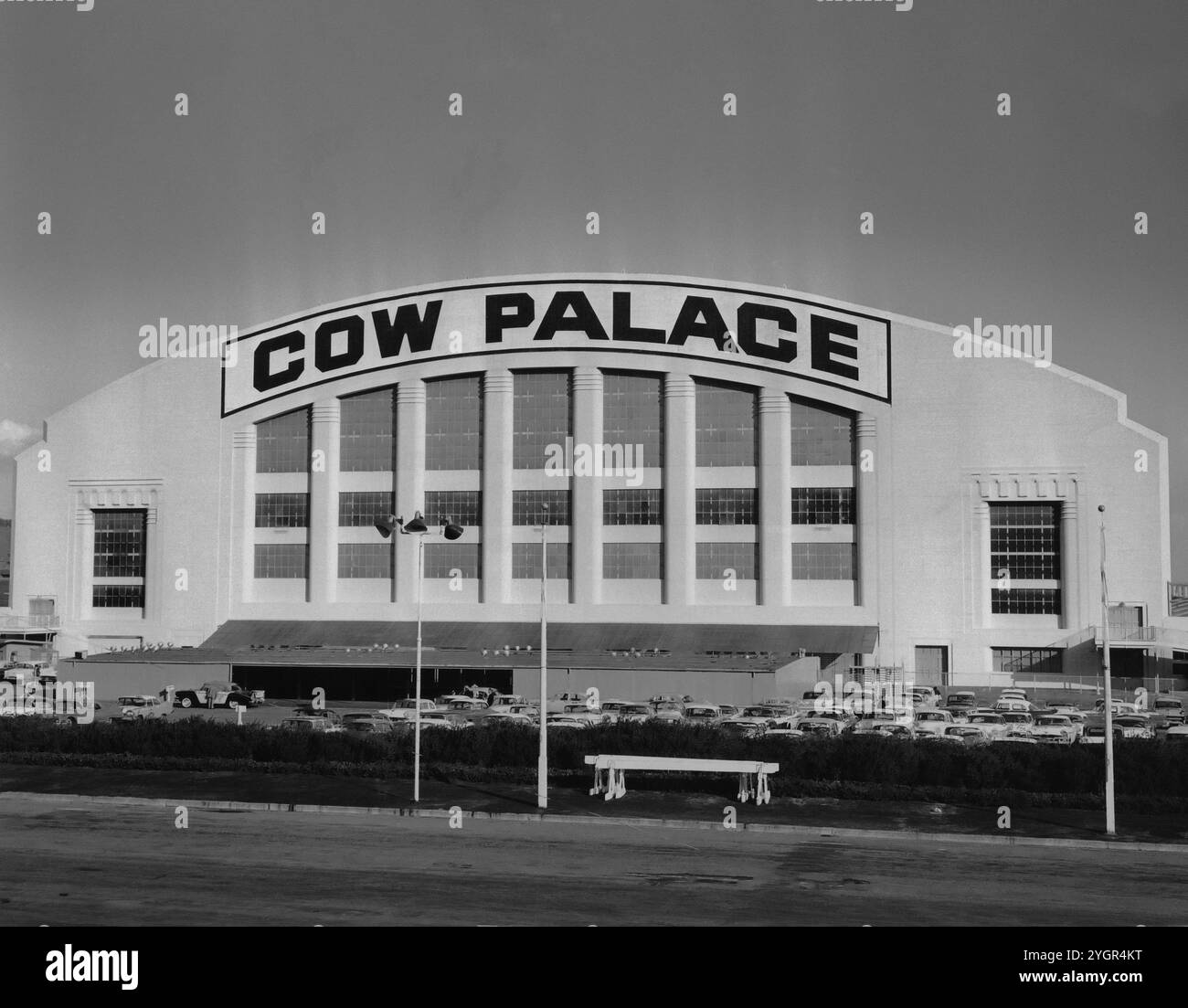 Cow palace in san hi-res stock photography and images - Alamy