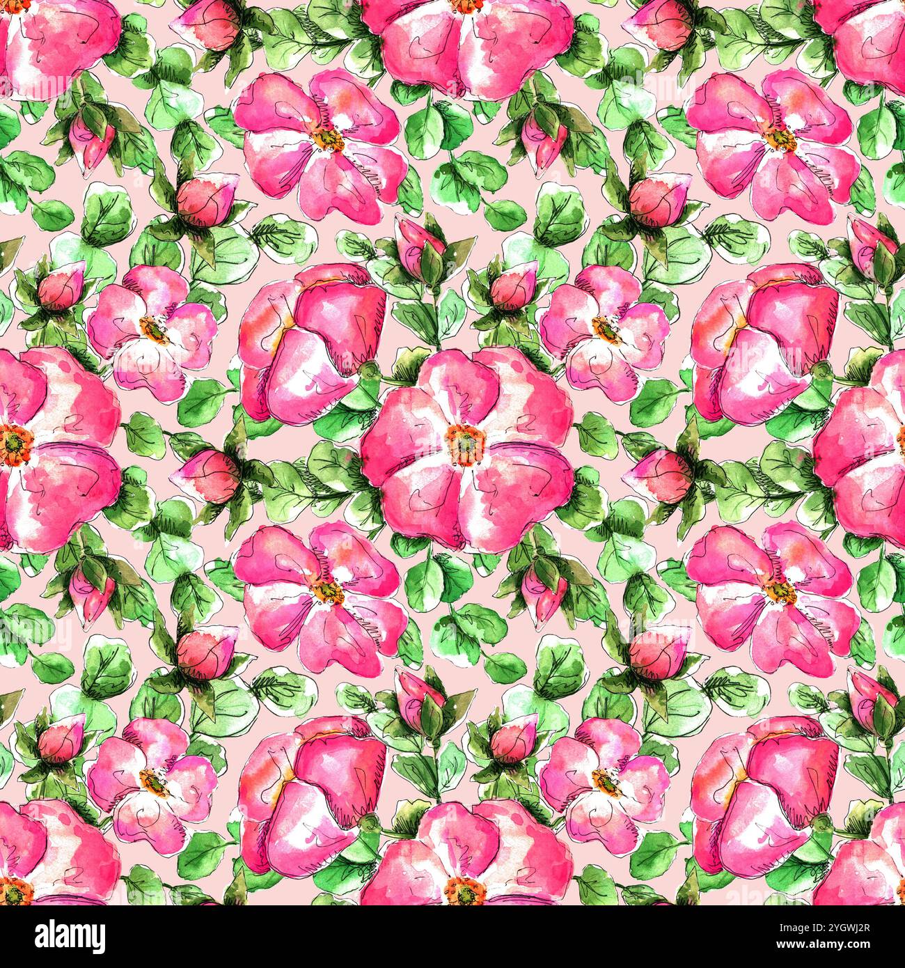 Seamless watercolor pattern with hand-drawn pink wild rose flowers for ...