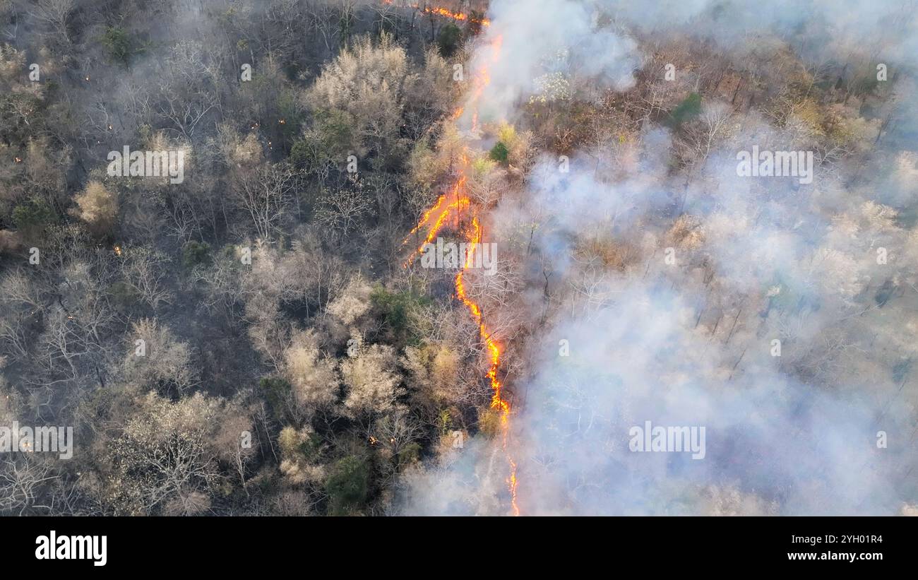 Drought Fire El Nino weather phenomenon cause drought and increase wildfire in ...