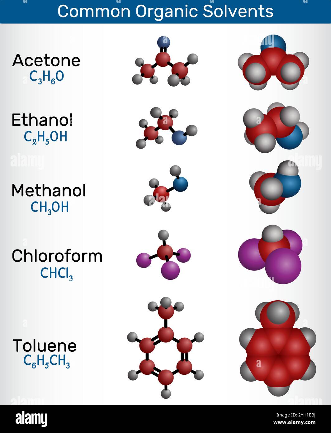 Common organic solvents. Molecular structure and 3D models of acetone, ethanol, methanol, chloroform, and toluene. Vector illustration Stock Vector