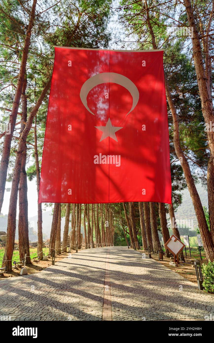 The Turkish flag is hanging between trees over shady alley Stock Photo ...