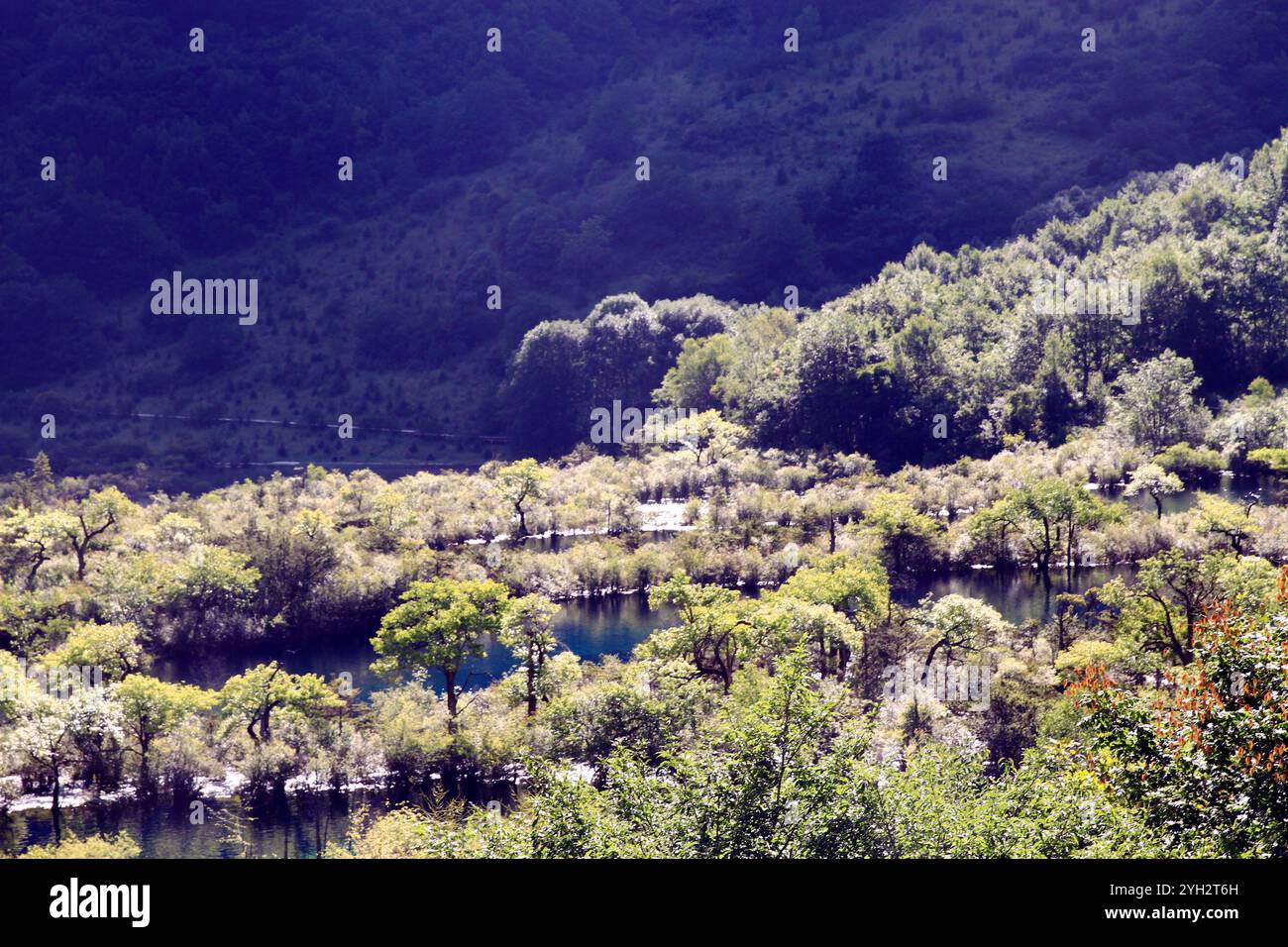 Green water green mountains hi-res stock photography and images - Alamy