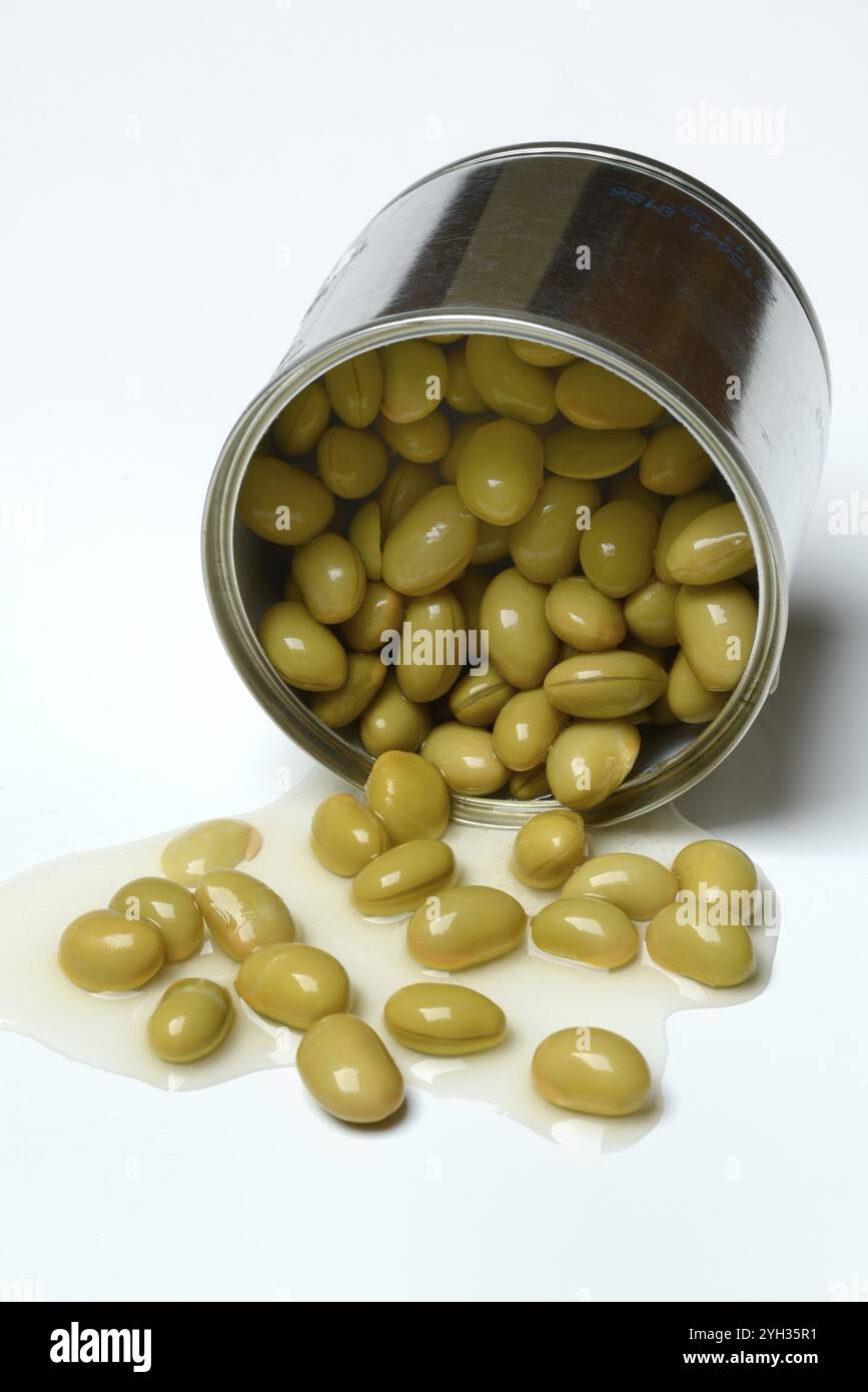 Edamame, unripe soya beans in tins, tinned Stock Photo