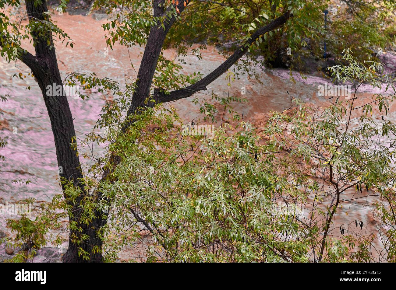 Serene river flows through hi-res stock photography and images - Alamy