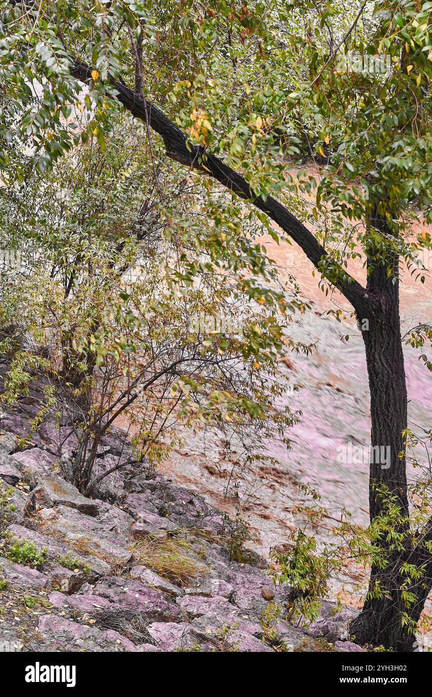 Foliage and river hi-res stock photography and images - Alamy
