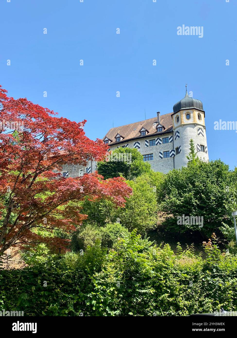 Historic Castle With Tower and Vibrant Autumn Foliage - Smartphone Captured Stock Image