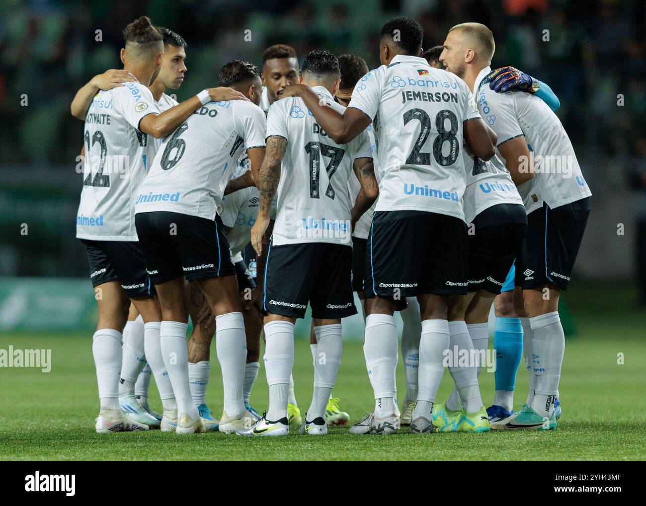 sao-paulo-brazil-08th-november-2024-soccer-football-brazilian