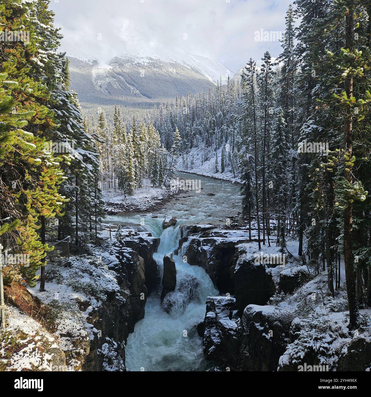 Sunwapta Falls, Jasper National Park - Smartphone Captured Stock Image